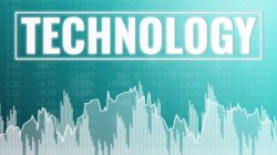 Stoneco’s Earnings Call: Rising Through Tough Times