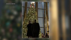 Governor and First Lady Light Up State Capitol Christmas Tree