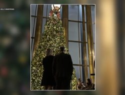 Governor and First Lady Light Up State Capitol Christmas Tree