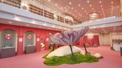 APR Launches ‘Medicube Seongsu’ Flagship Store in Seoul